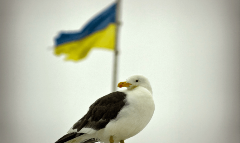 Wikipedia launched the Antarctic Week