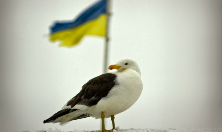 Українській антарктичній станції – 23 роки. Як усе відбувалося?