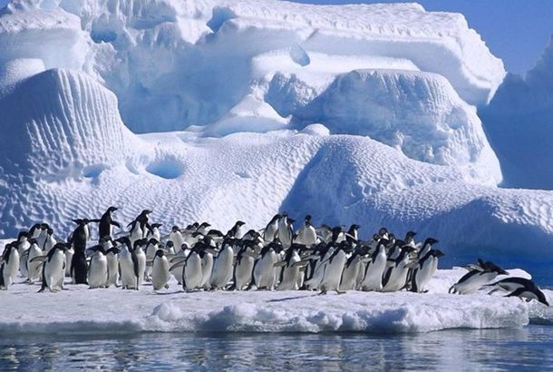 Україні повернули повноправне членство у Науковому Комітеті з антарктичних досліджень