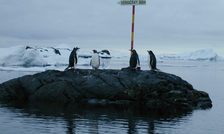 Діти порахували пінгвінів. Підсумки освітнього проекту НАНЦ