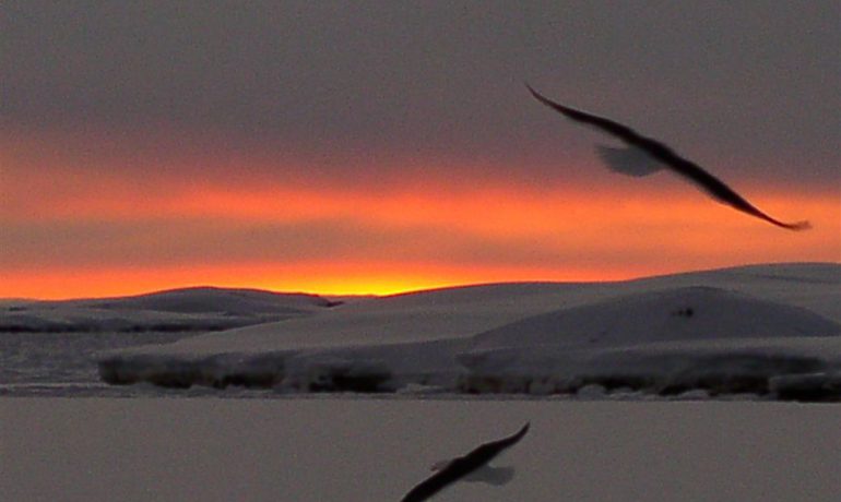 Учені НАНЦ стали авторами розділу в «Енциклопедії світових біомів»