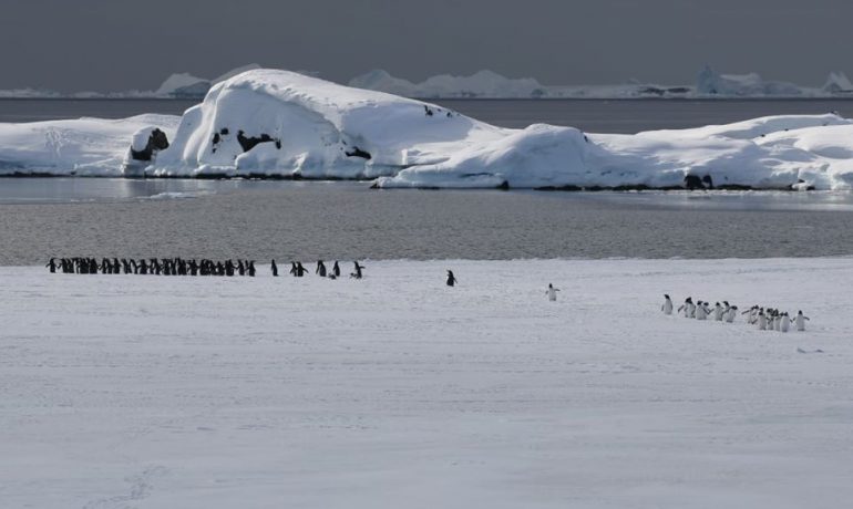 27 травня розпочинаємо «Антарктичні уроки»