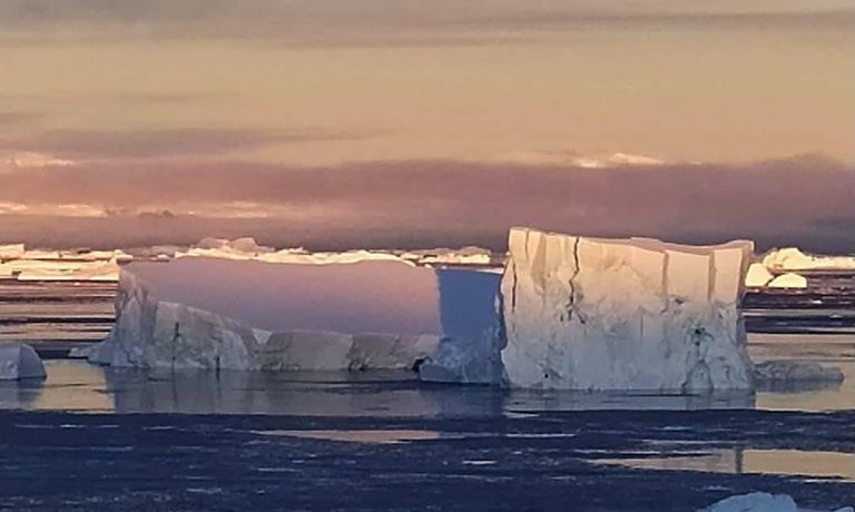 Тепла зима. На українській станції зафіксували рекордну зимову температуру + 5 С°