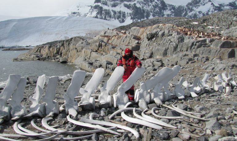 Текст землі: навіщо біологи читають минуле планети. Інтерв'ю з Андрієм Утєвським