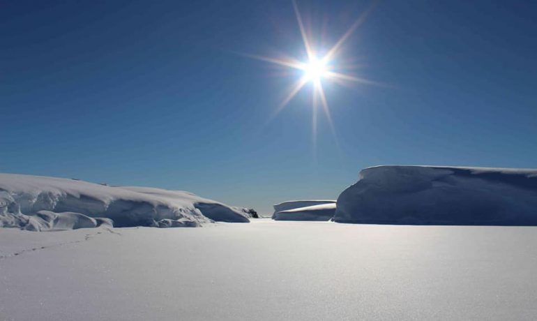 Керівництво SCAR затвердило три нові програми досліджень Антарктики