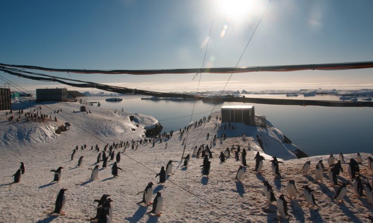 Новий рік у розпал літа. Як святкуватимуть українці в Антарктиді