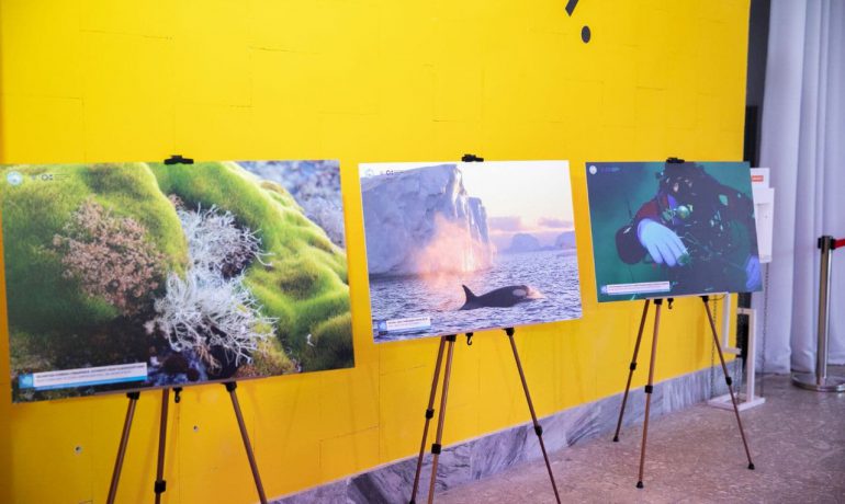 Влітку – на крижаний континент: з 11 червня у Корсунь-Шевченківському працюватиме антарктична виставка