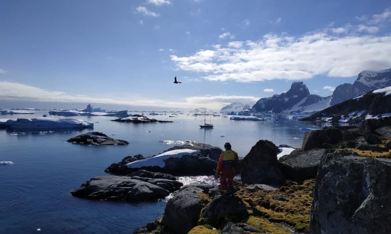 Зменшити вплив туристів на заповідну природу: вчені НАНЦ підготували правила відвідування району станції “Вернадський”