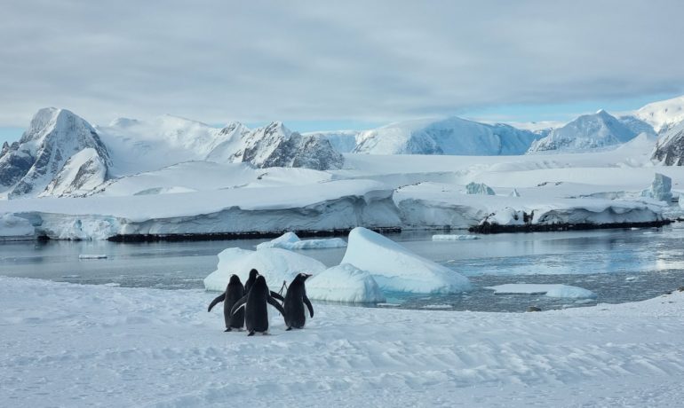 У районі “Вернадського” – найтепліша зима, середня температура лише трохи нижча за -2°C