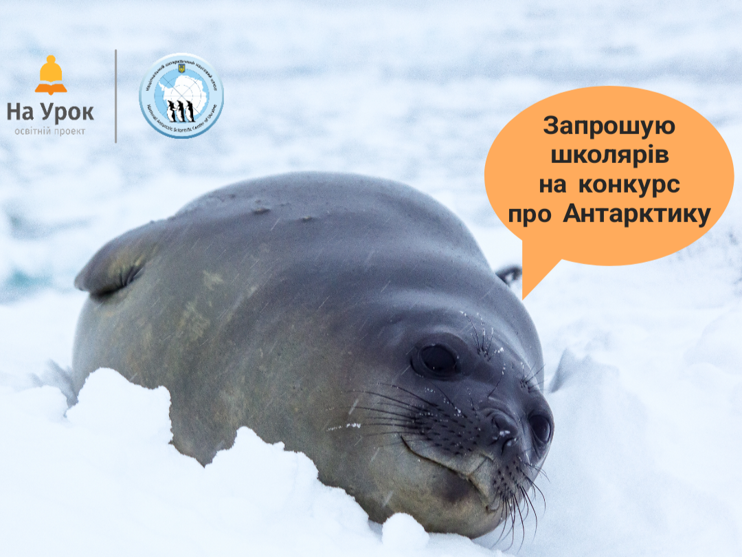 Триває конкурс для учнів 1-11 класів «Яскрава Антарктика: погляд зі станції “Академік Вернадський”»