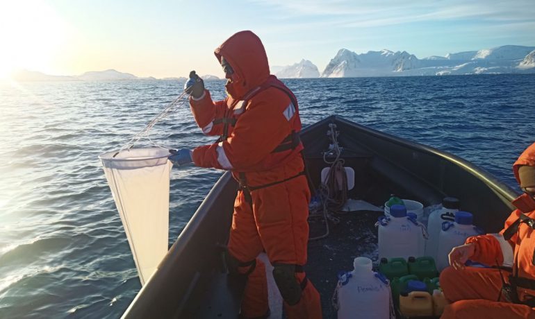 В районі "Вернадського" виявлено раптовий приріст хлорофілу в океані