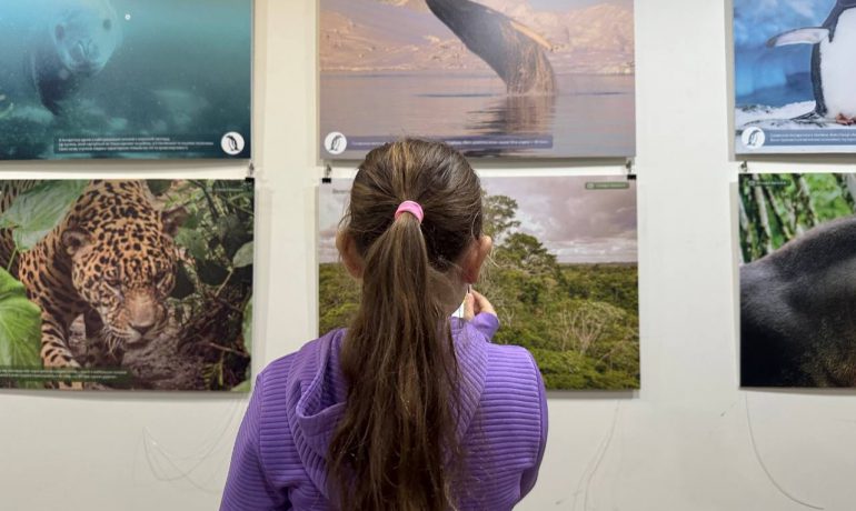 Реальні докази зміни клімату: в Одесі відкрили особливу фотовиставку